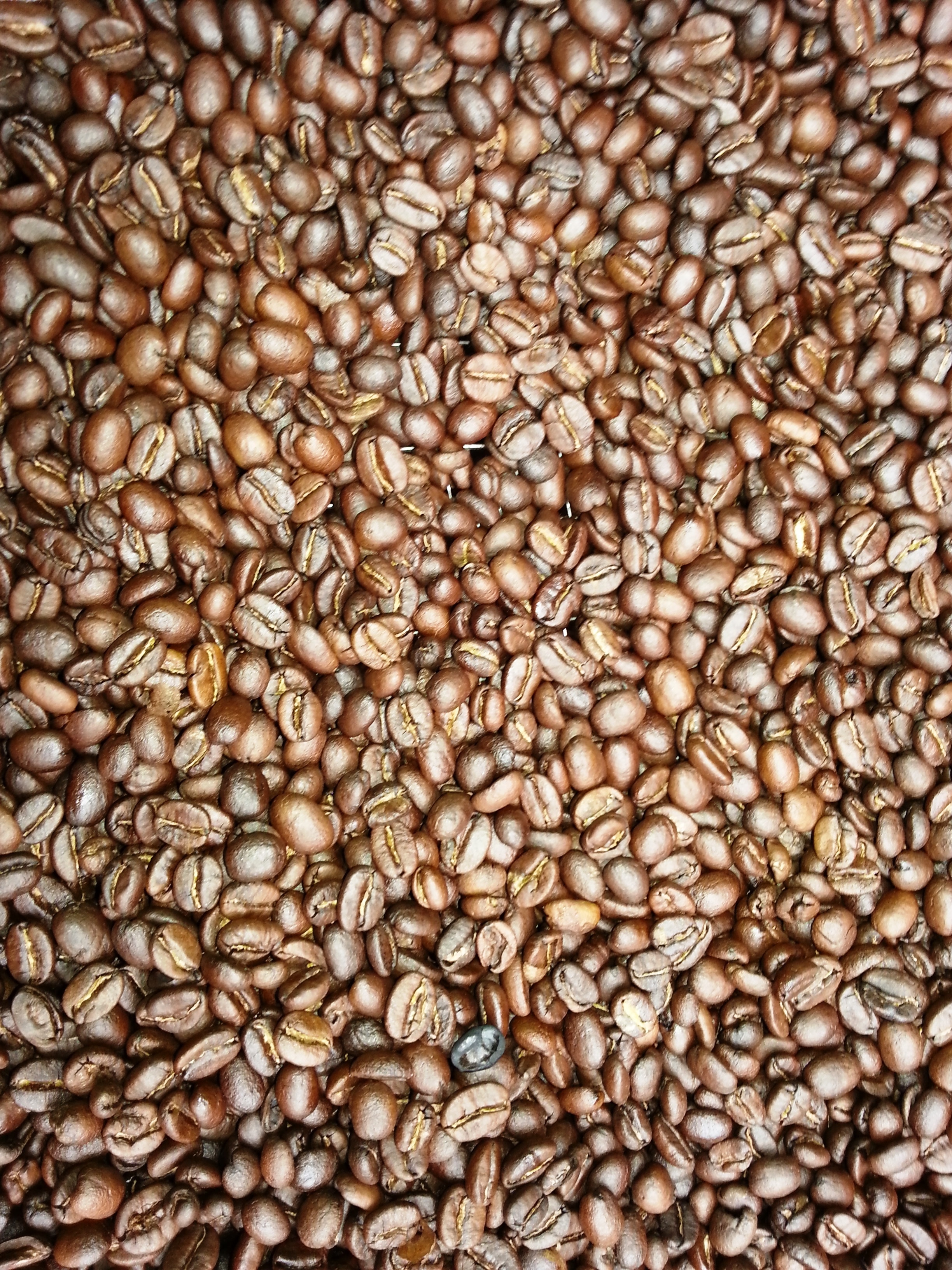 Coffee Beans, Fresh Coffee, Tanzania, food and drink, roasted coffee bean