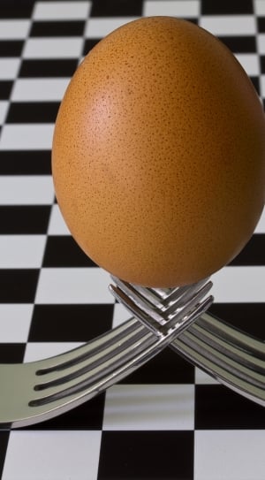 two stainless steel forks and brown egg thumbnail