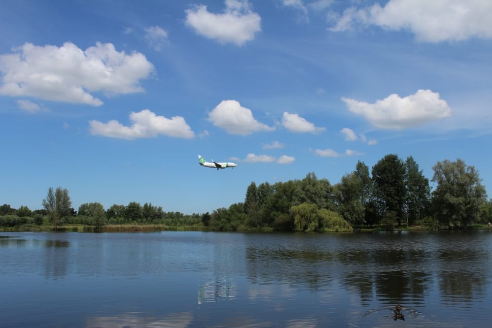 white airplane and green leaved trees preview