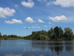 white airplane and green leaved trees thumbnail