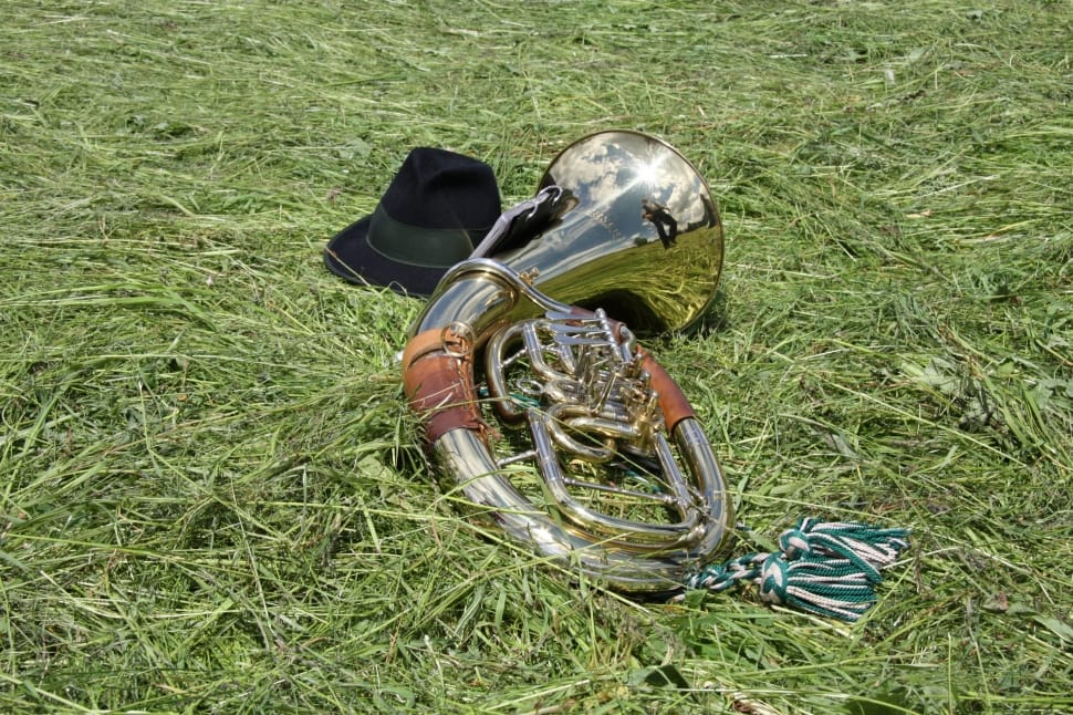 brass French horn beside a black fedora hat in grass ground preview