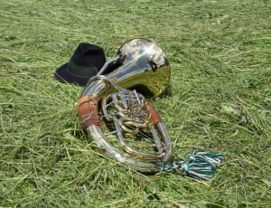 brass French horn beside a black fedora hat in grass ground thumbnail