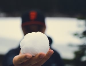 white snowball thumbnail