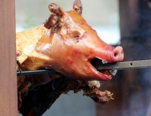 roasted pig on gray steel bar thumbnail