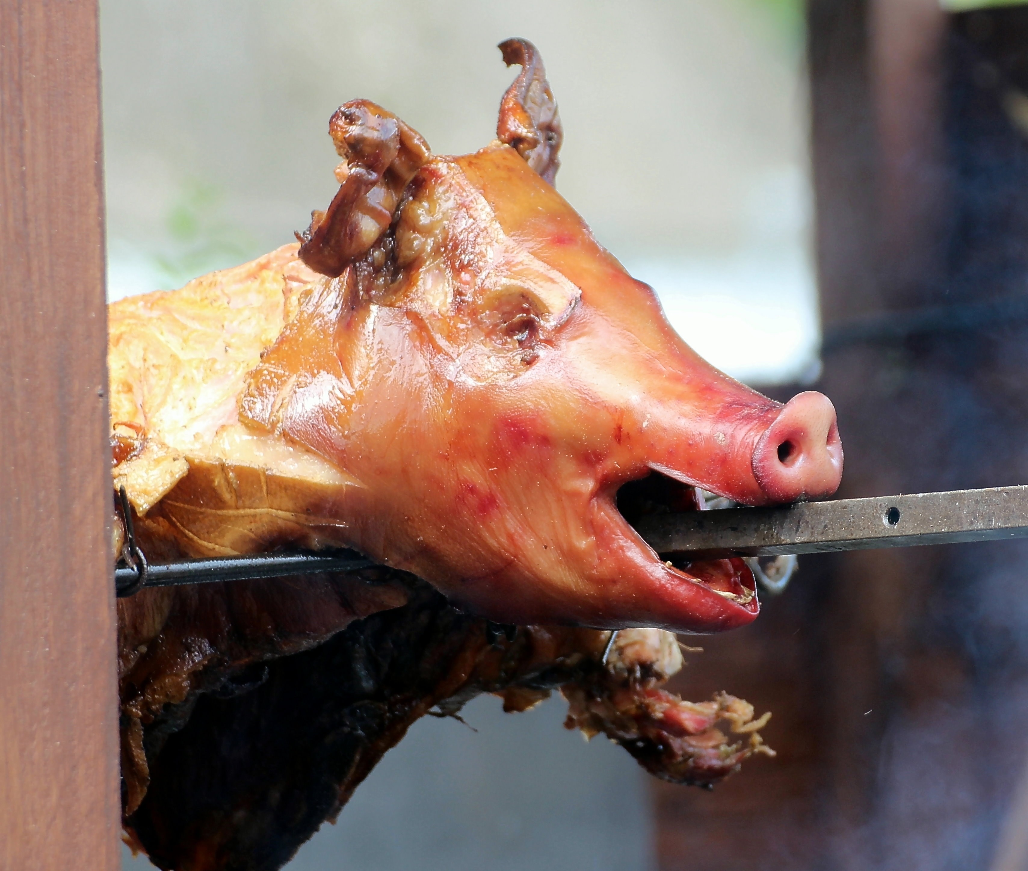 roasted pig on gray steel bar