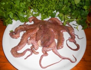grilled squid thumbnail