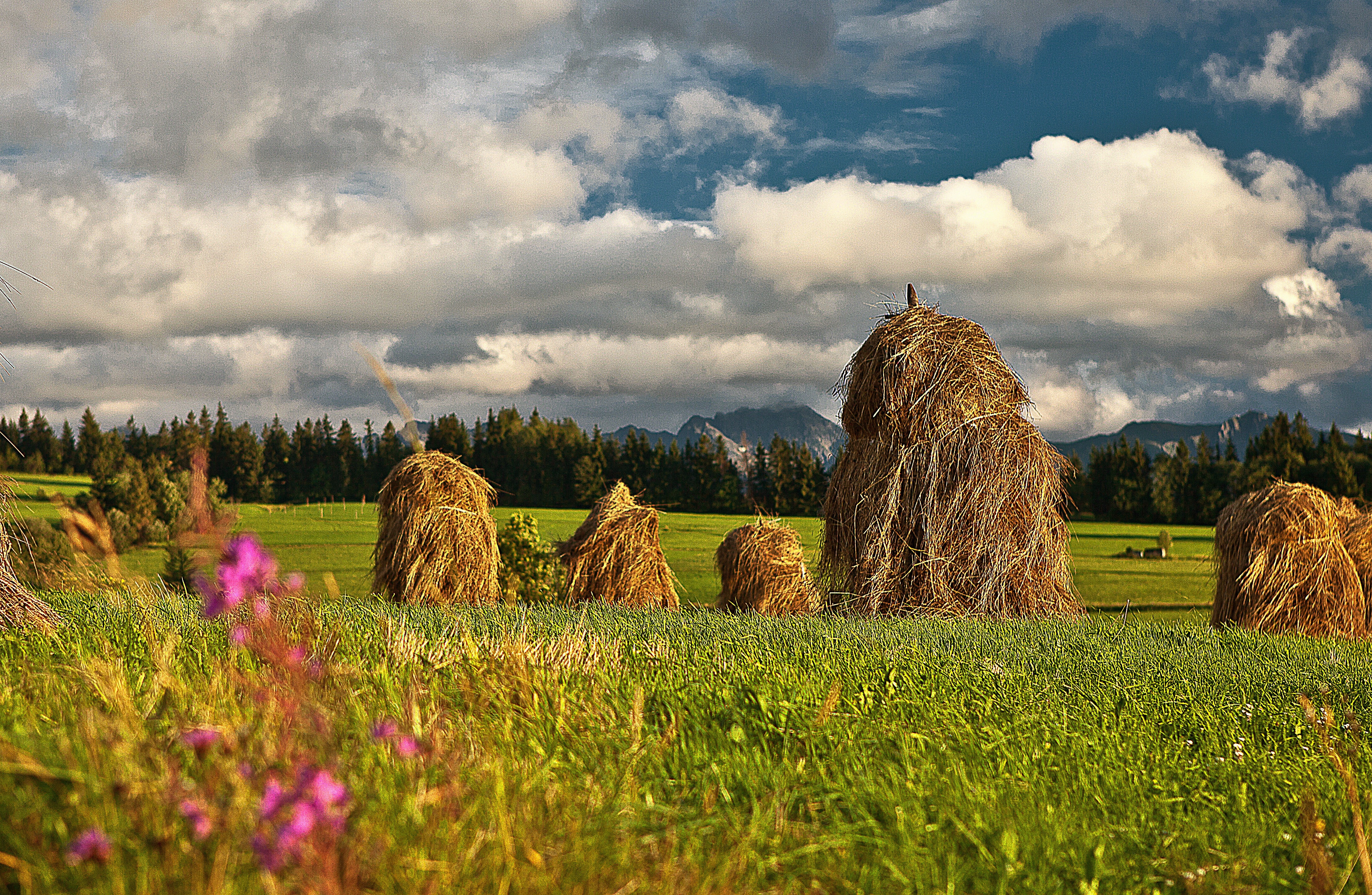 brown haystack on green field
