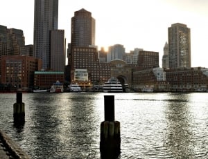 photography of city near body of water on a sunny day thumbnail