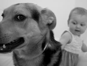 grayscale picture of girl and dog thumbnail