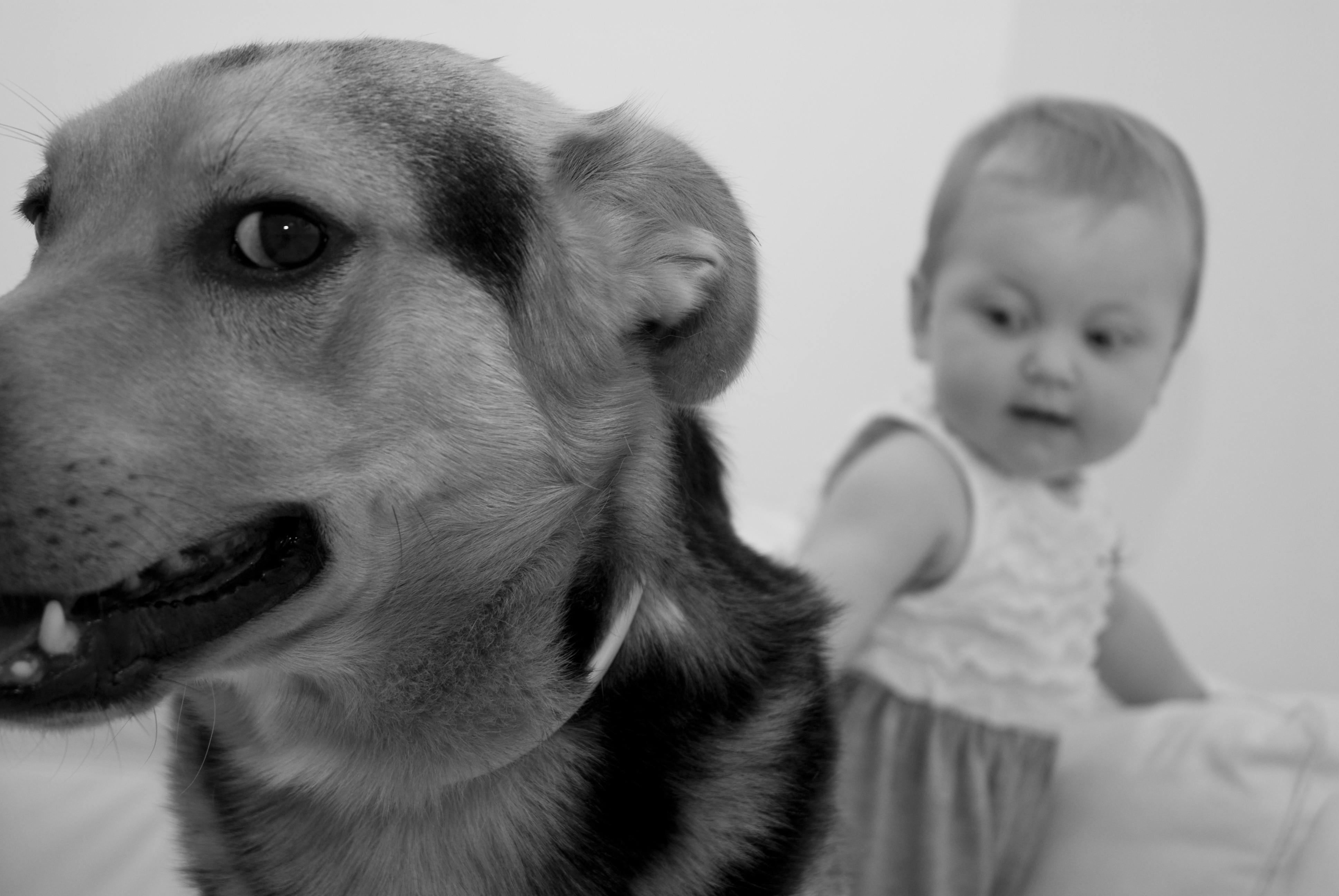 grayscale picture of girl and dog