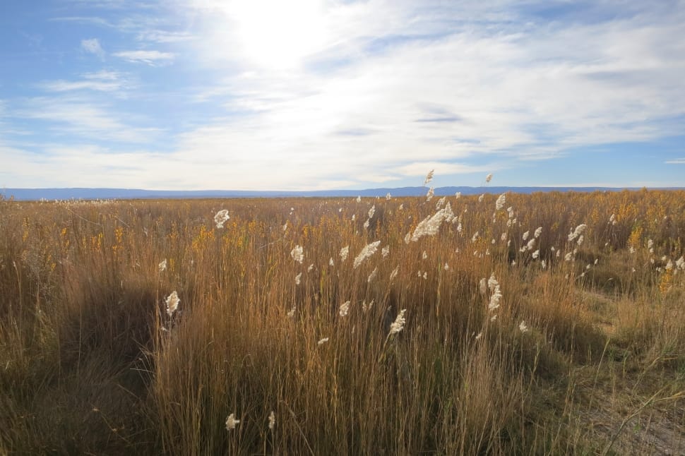 brown grass under white clouds during daytime landmark preview
