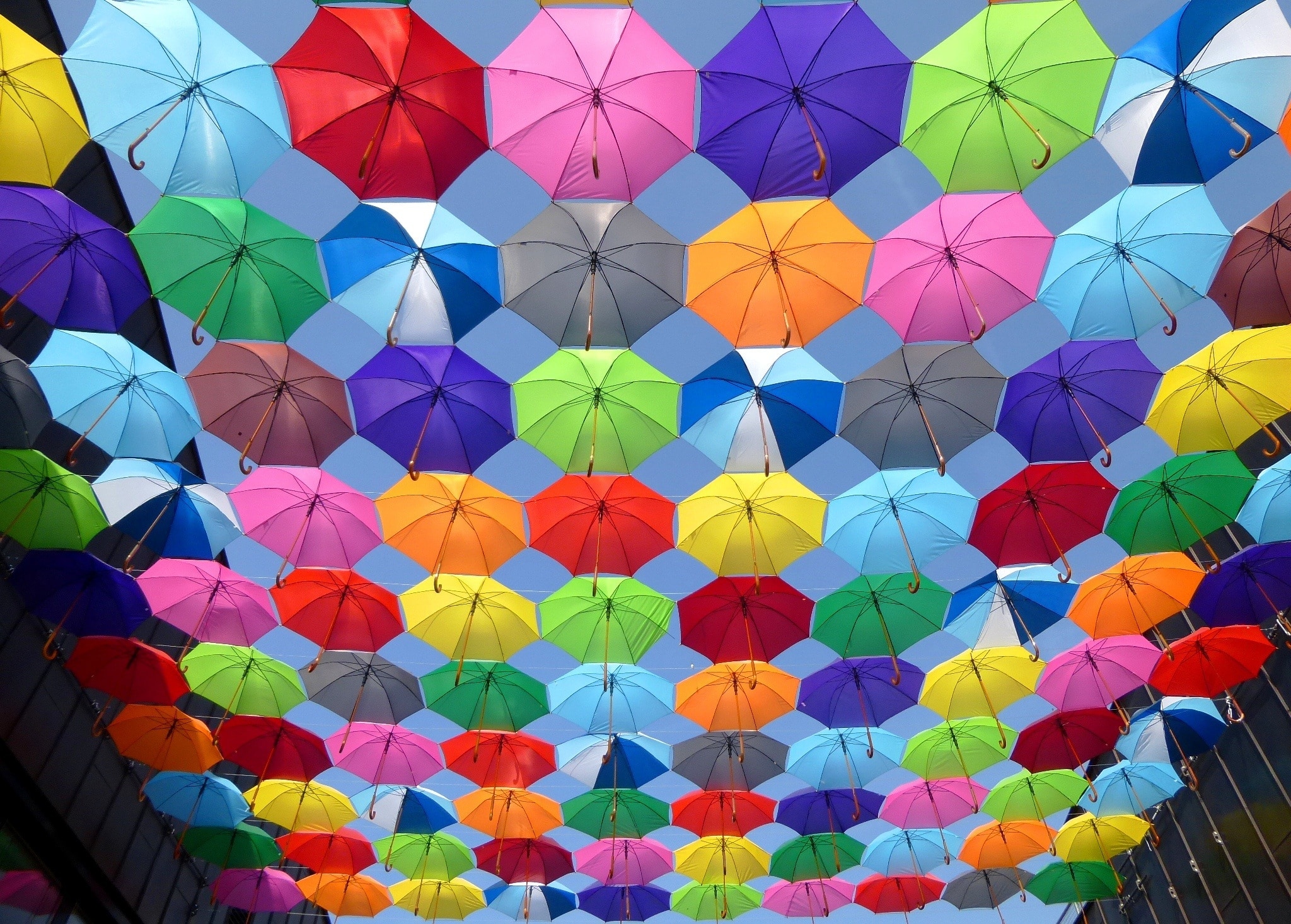 umbrella lot