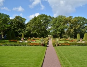 photo of green grass garden thumbnail