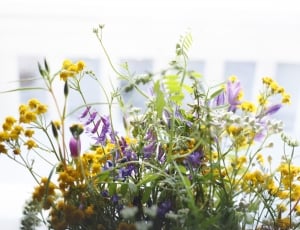 white, purple, and yellow flower bouquet thumbnail
