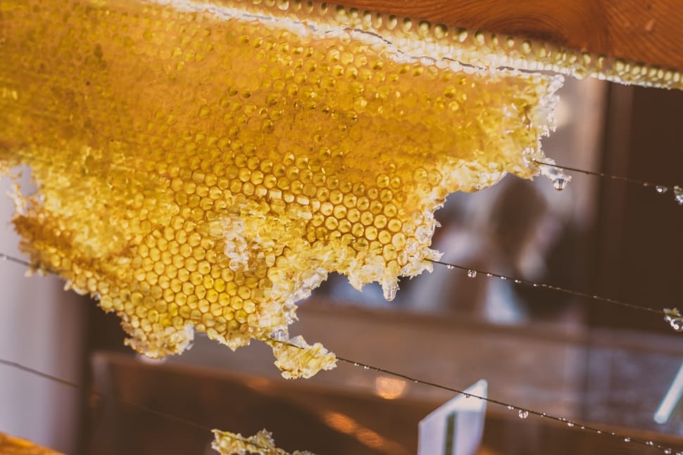 honey, bee, syrup, nectar, yellow, food and drink preview