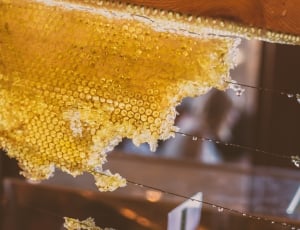 honey, bee, syrup, nectar, yellow, food and drink thumbnail