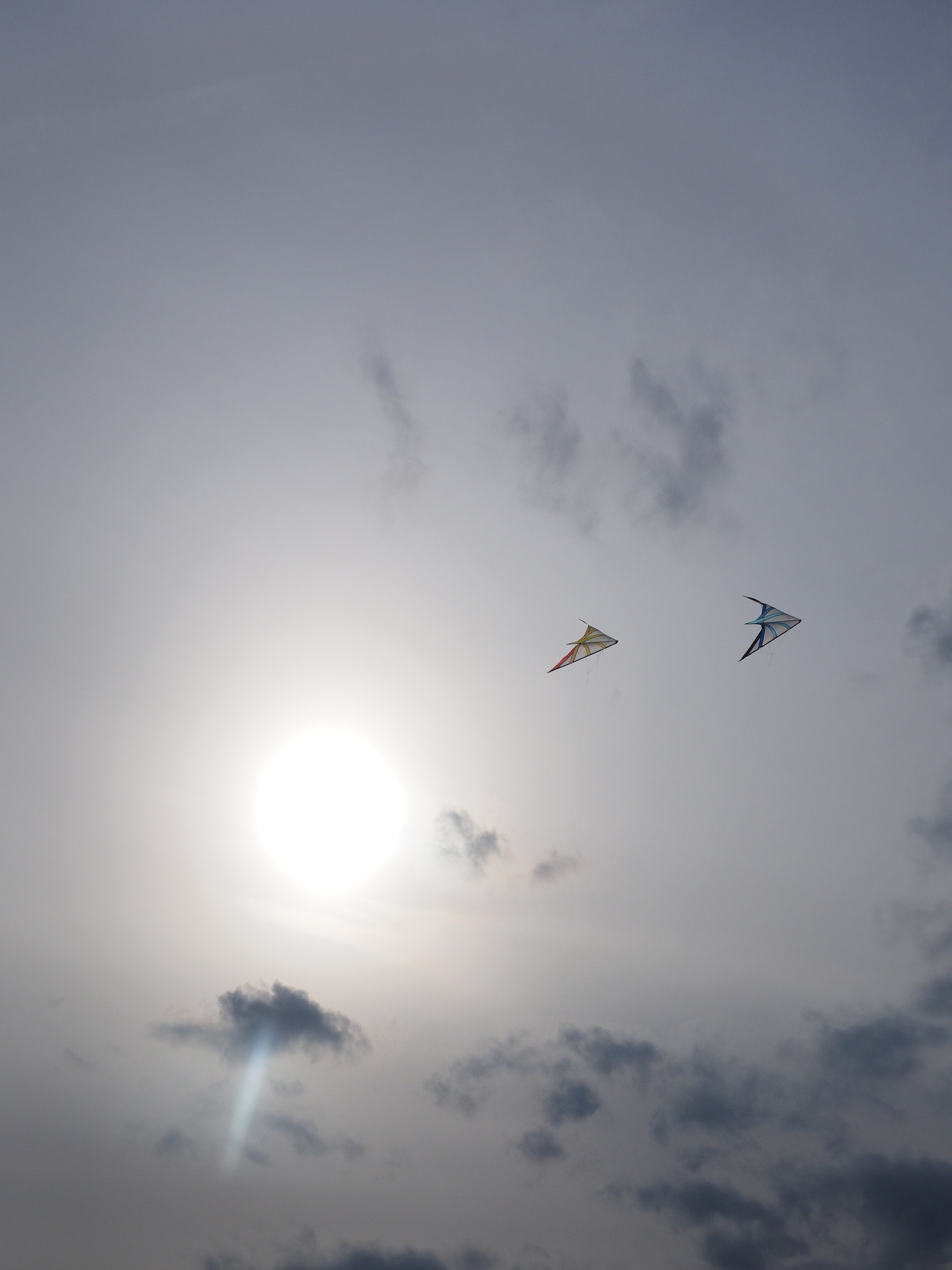 2 flying kites