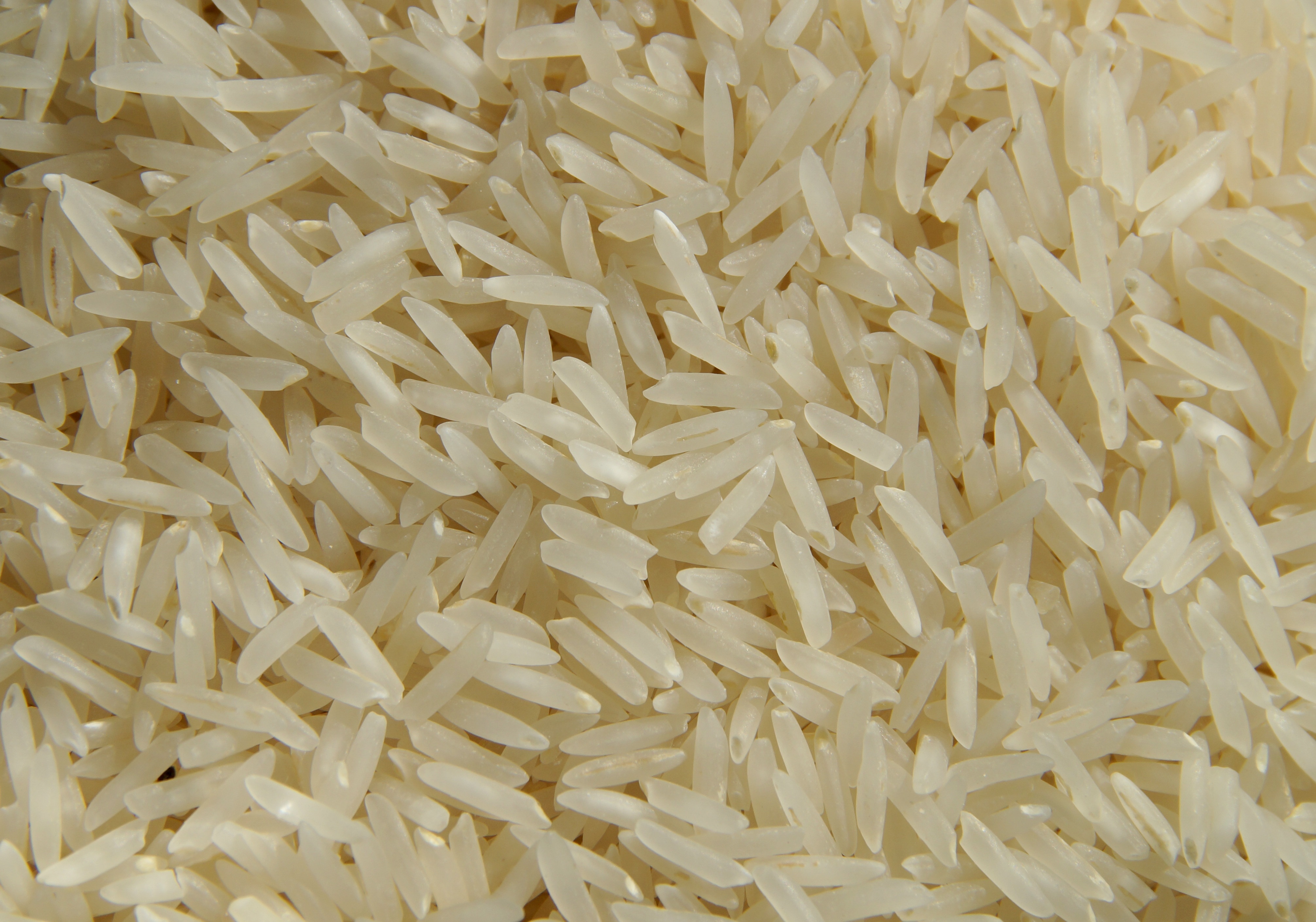 macro shot of white rice