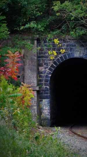 blue bricked tunnel during day time thumbnail