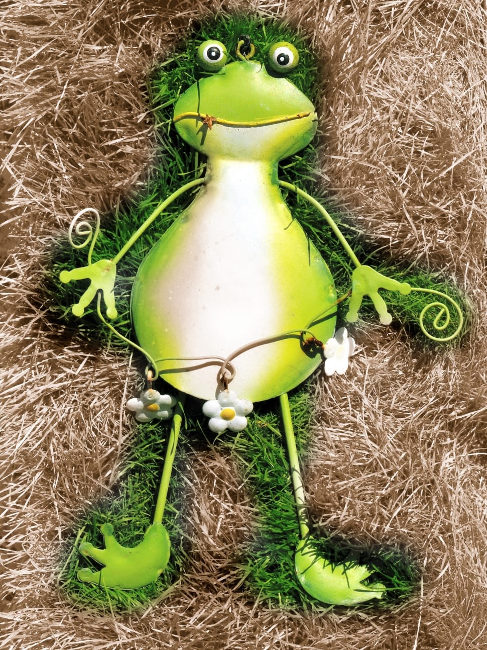 green steel frog decor preview