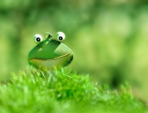 green frog toy thumbnail