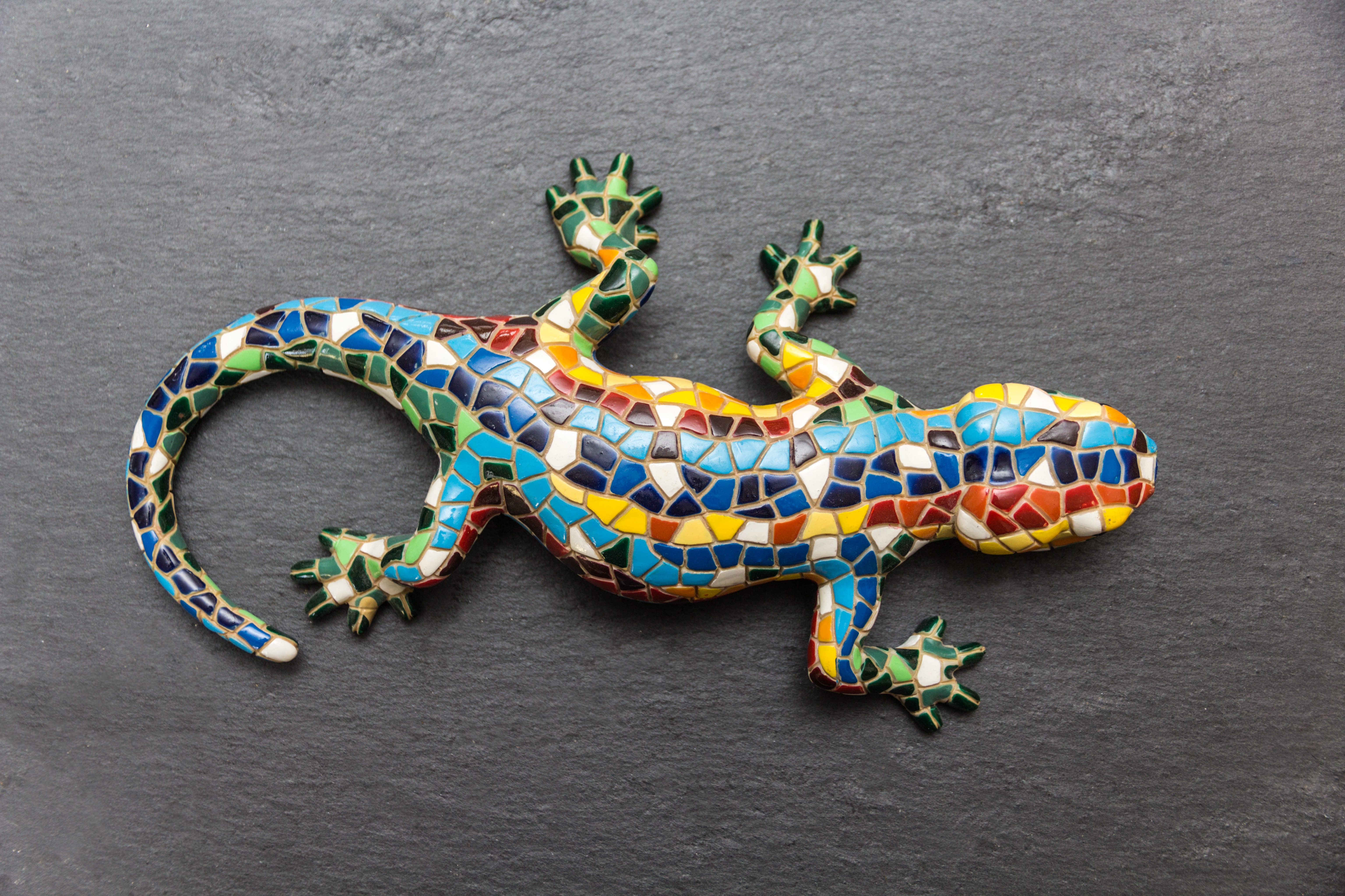 Gecko, Mosaic, Lizard, Spain, Barcelona, animal wildlife, no people