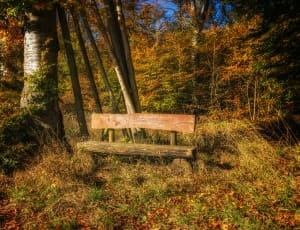 brown wooden bench seat thumbnail