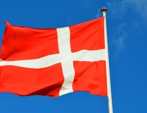 red and white cross print flag thumbnail