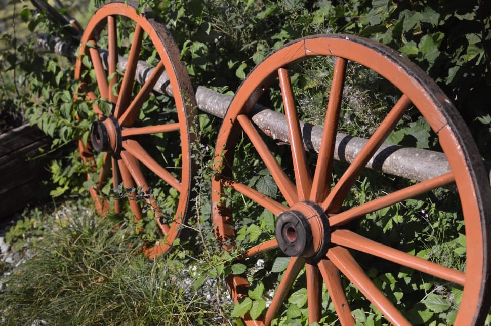 2 brown wheels preview