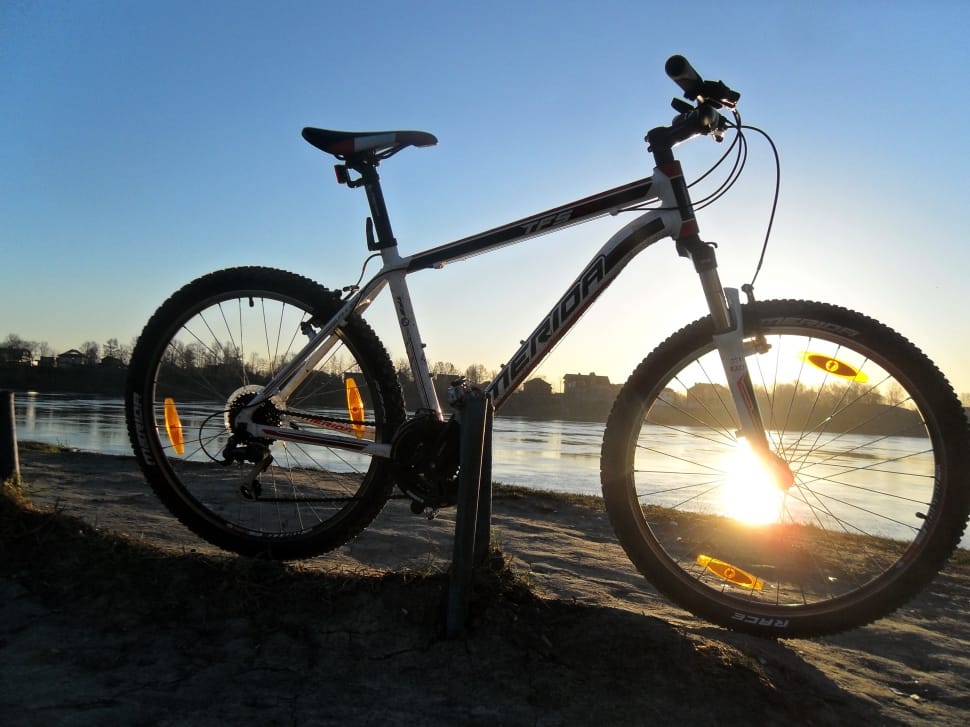 white and black Erida mountain bike beside lake under clear blue sky preview