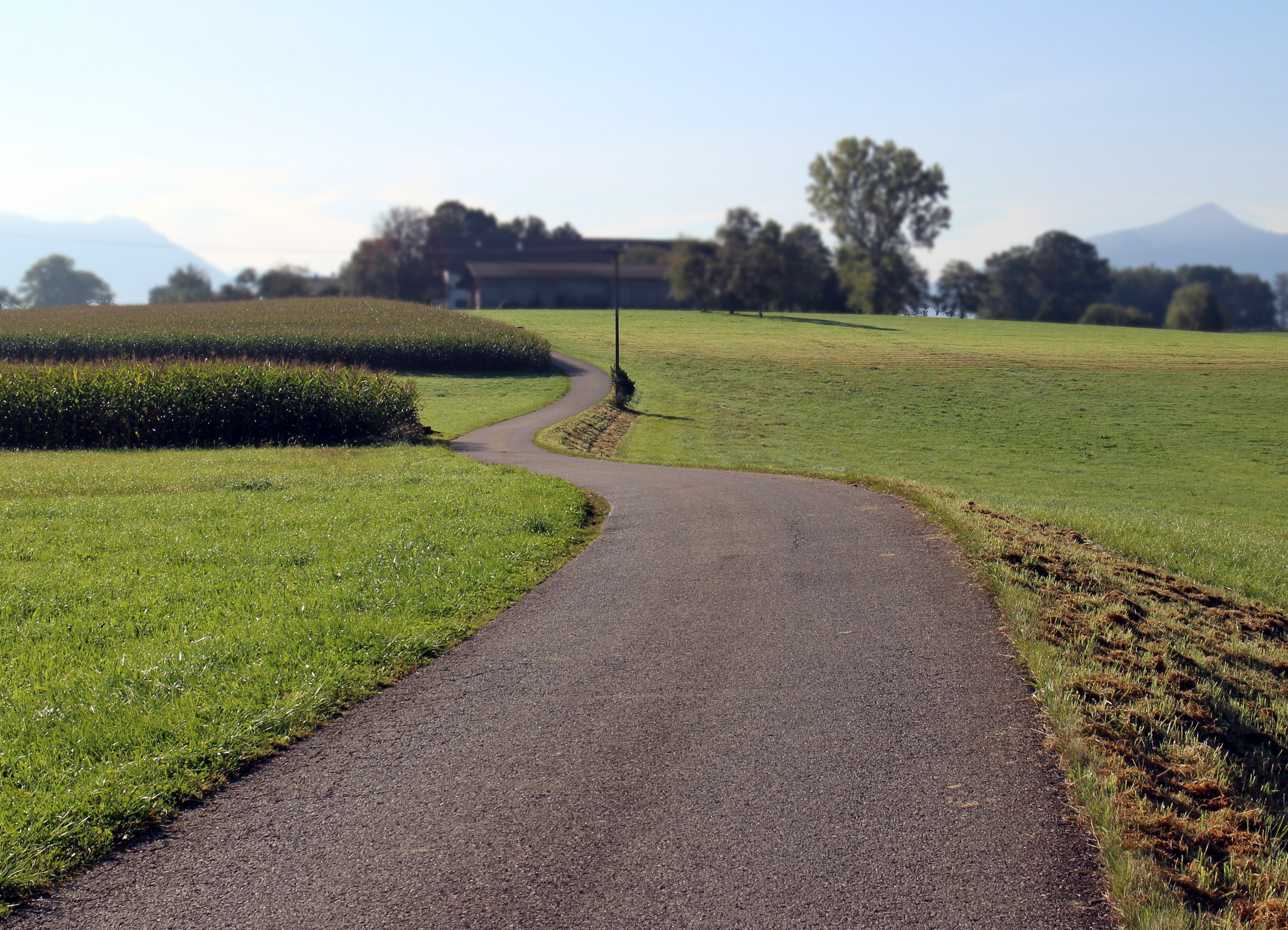 gray asphalt road between green grass fields