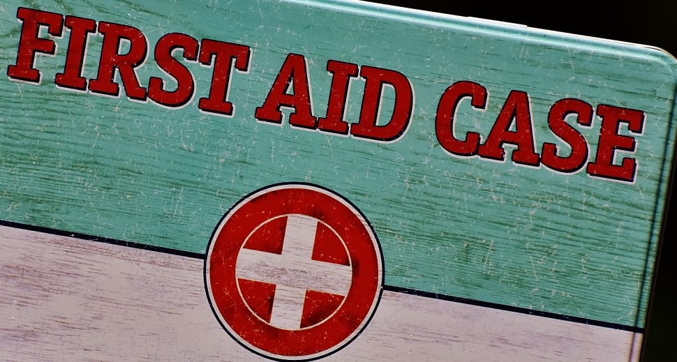 first aid case book preview
