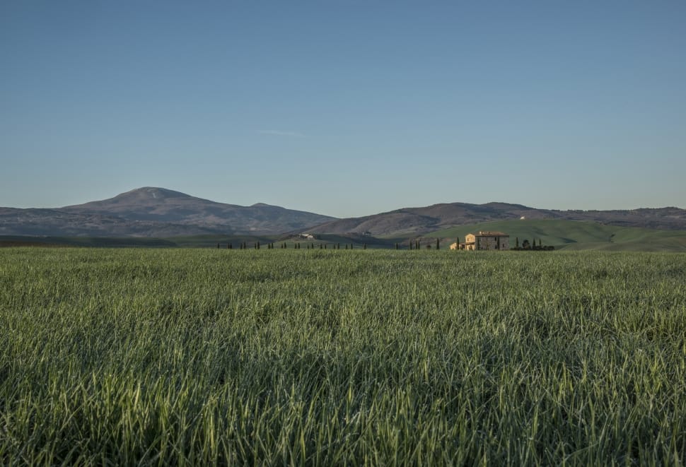 green fields and mountain during day time preview