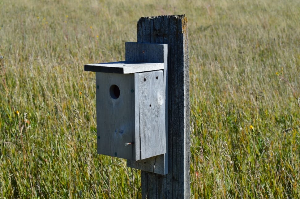 grey wooden bird post preview