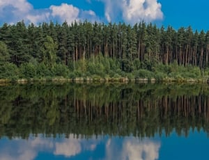 Lake, Water, Forest, Pond, Nature, reflection, cloud - sky thumbnail