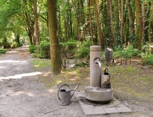 Park, Gies Jugs, Cemetery, Watering Hole, tree, no people thumbnail
