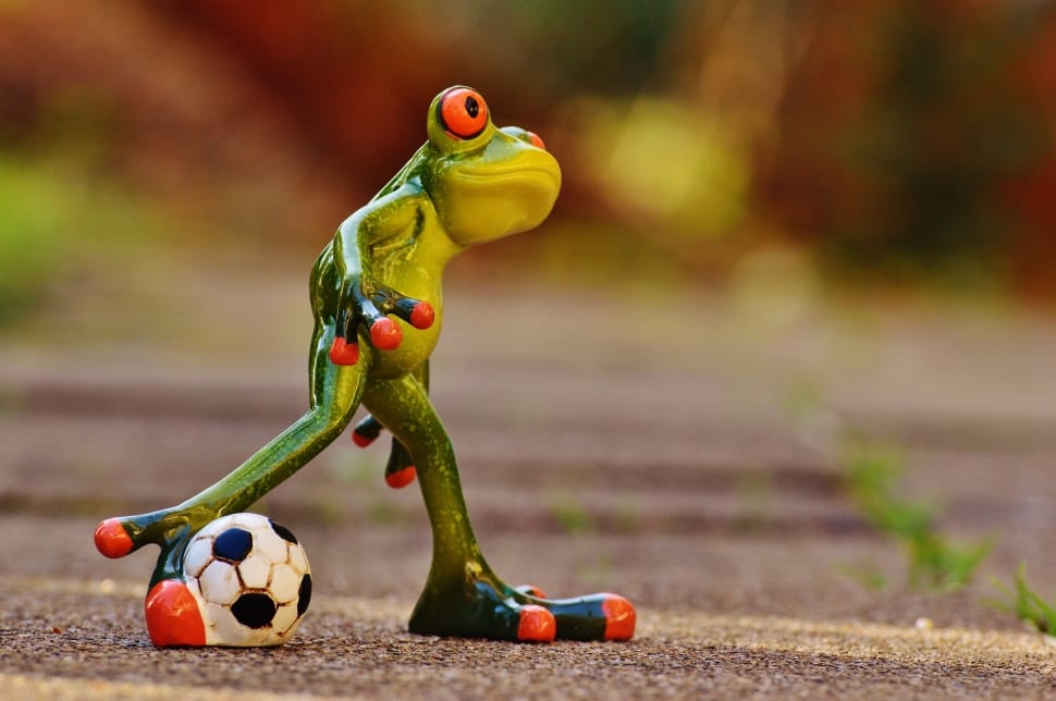 Funny, Cute, Frog, Sweet, Play, Football, soccer, no people preview