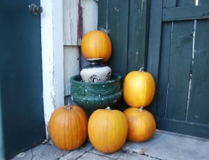 5 pumpkins thumbnail