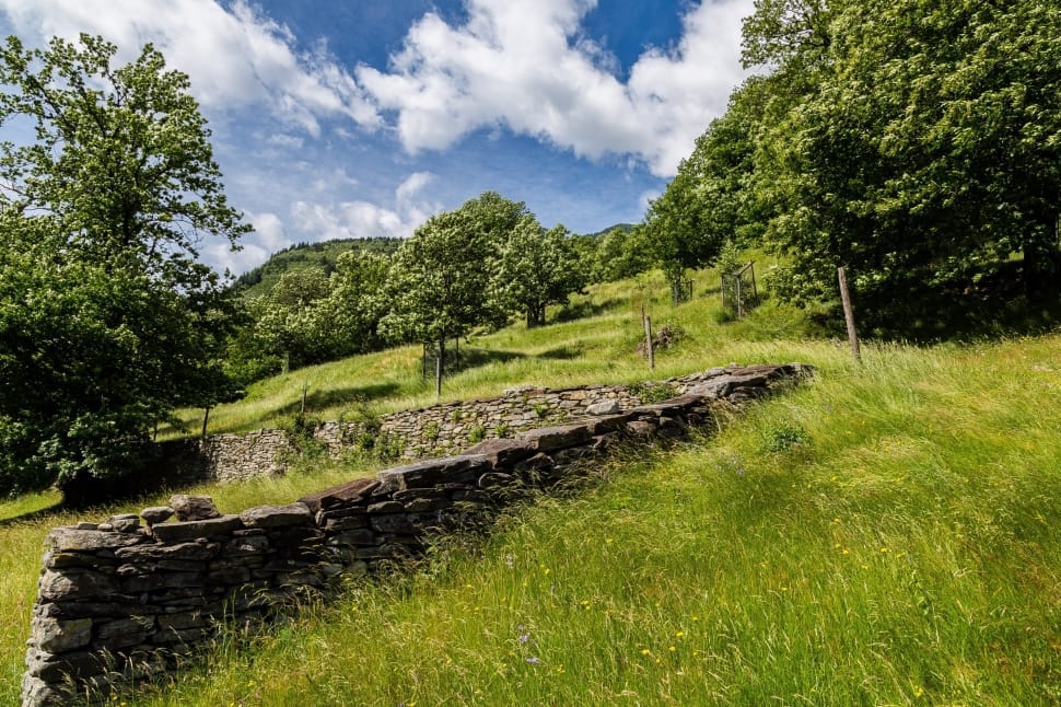 grass field and green trees under white clouds and blue sky during daytime preview