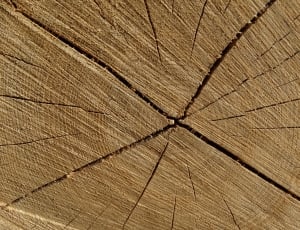brown wooden firewood thumbnail