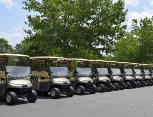 beige and silver golf cart fleet thumbnail