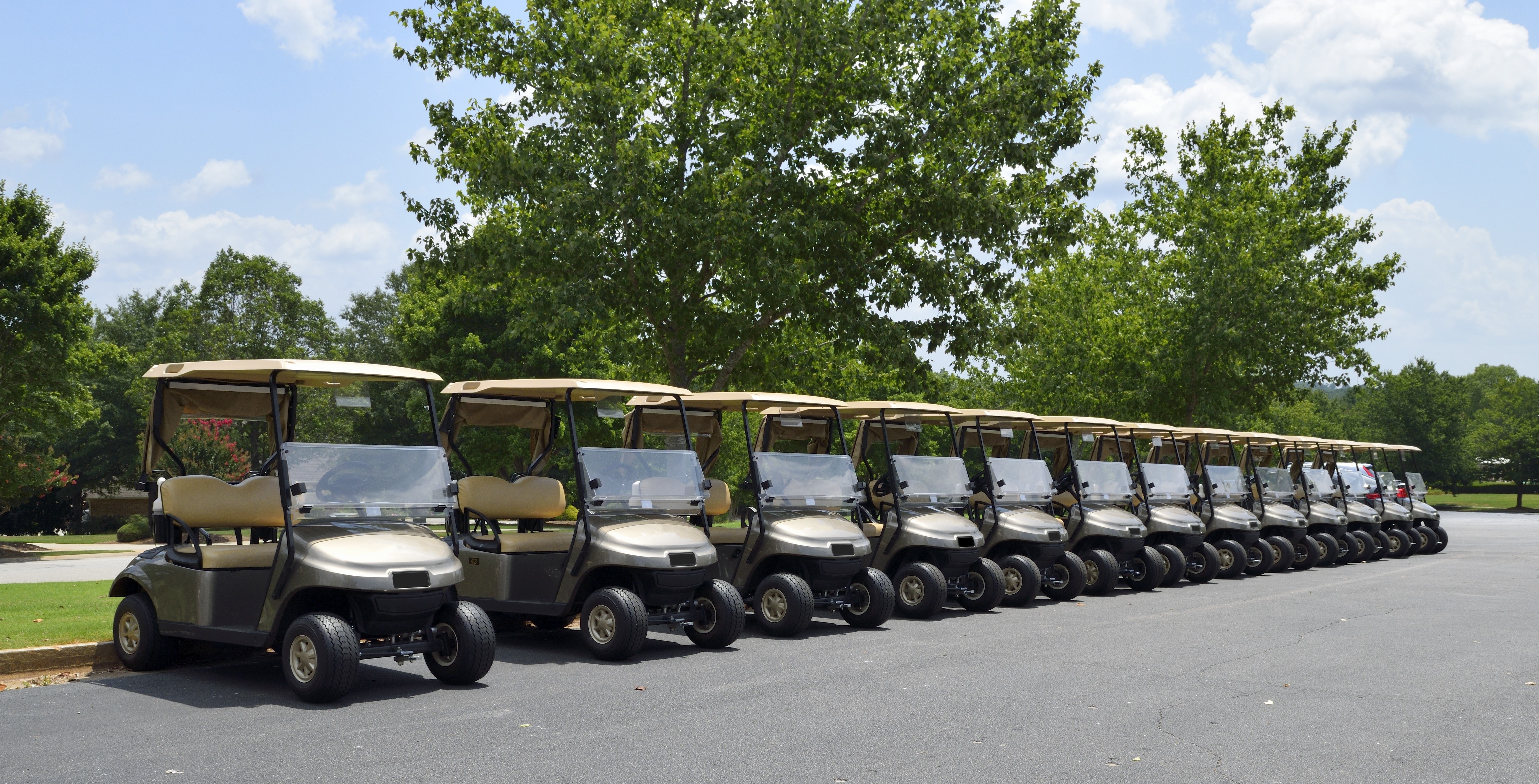 beige and silver golf cart fleet