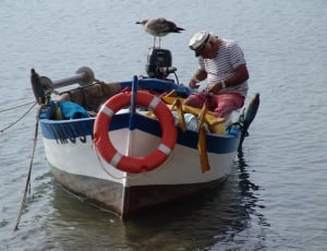 white blue and brown outboard motor boat thumbnail