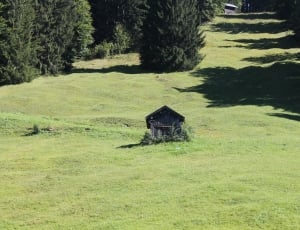Meadow, Oberstdorf, Mountains, Landscape, no people, grass thumbnail
