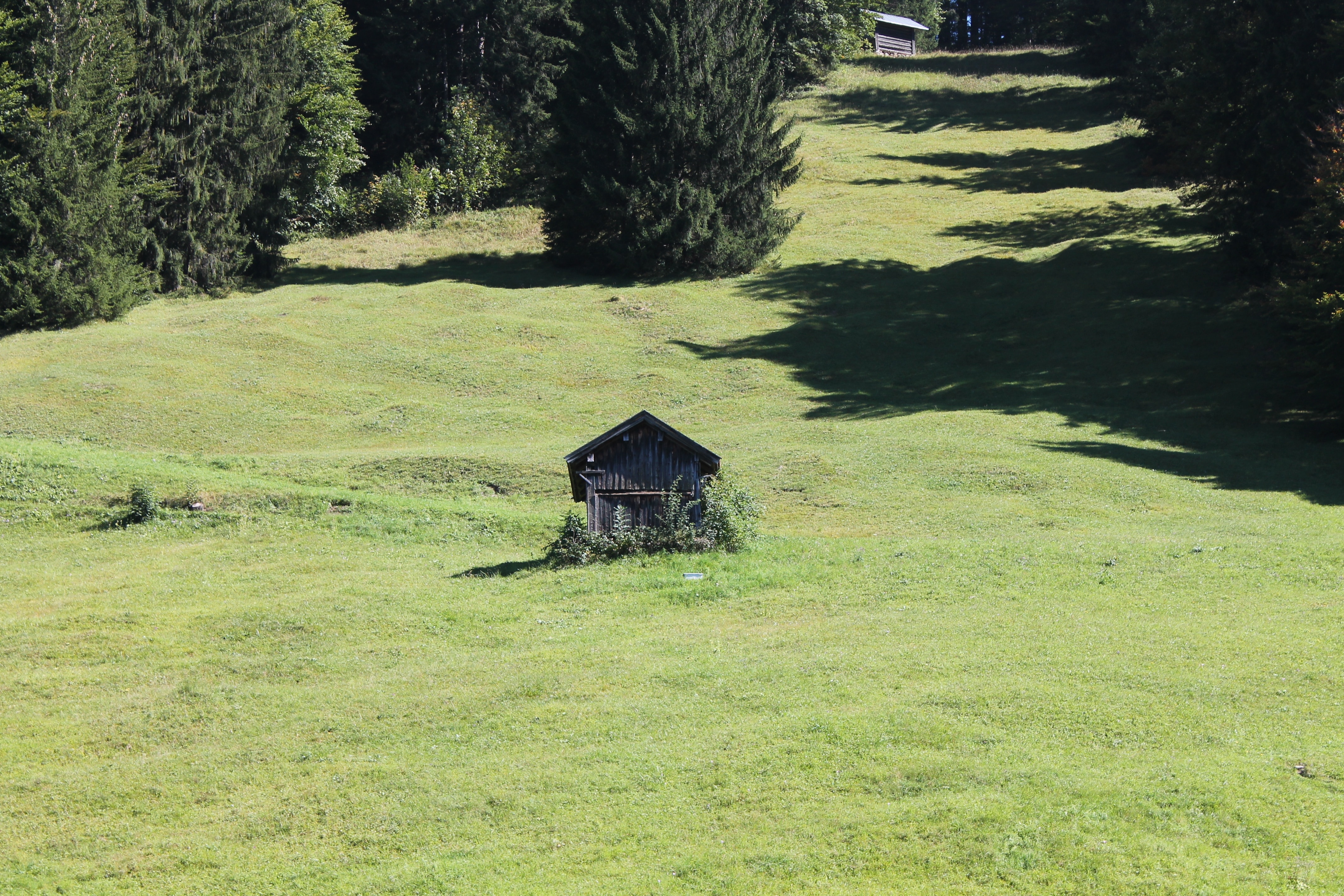 Meadow, Oberstdorf, Mountains, Landscape, no people, grass