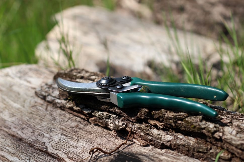 green pruning shears preview