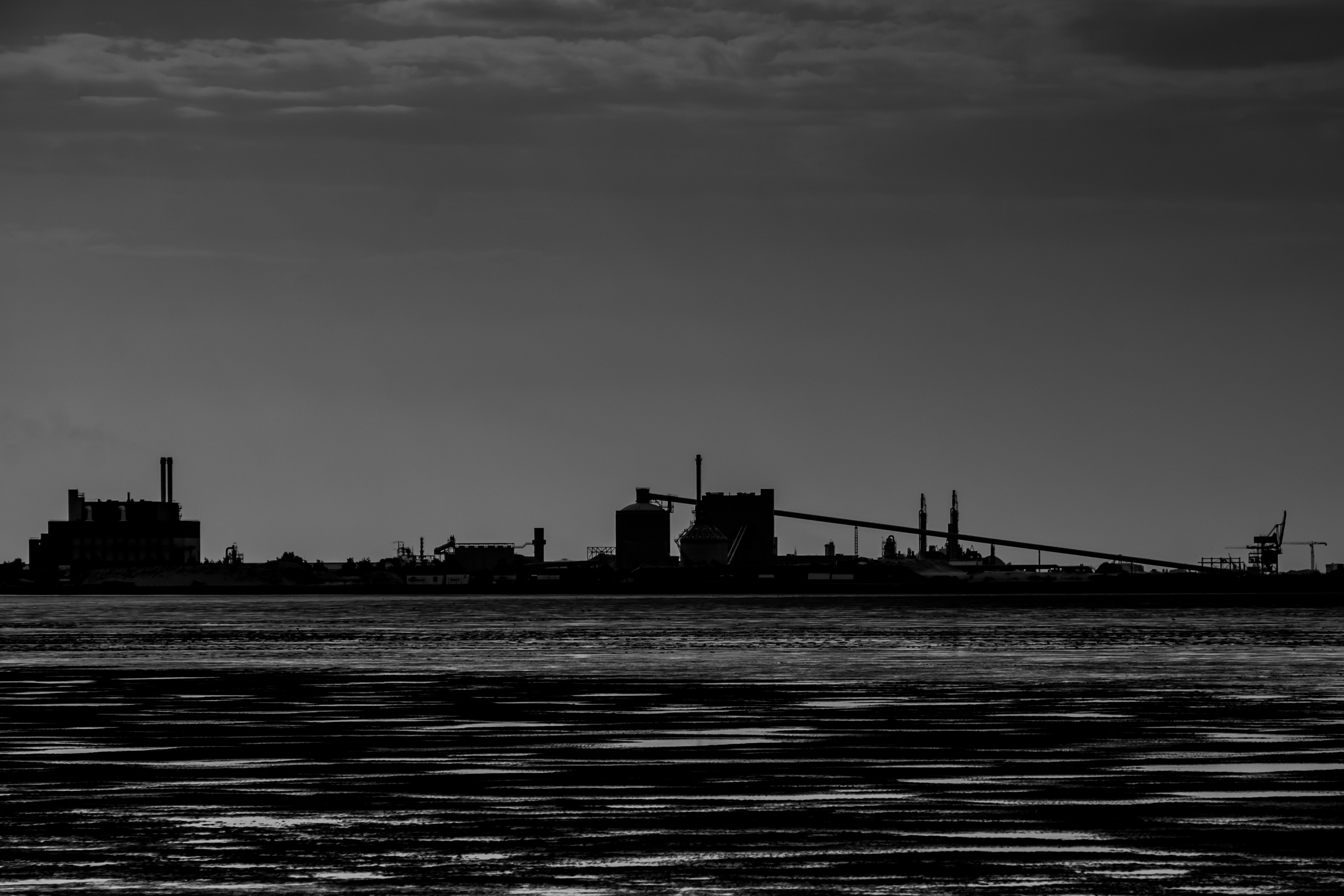 greyscale photo of oil plant