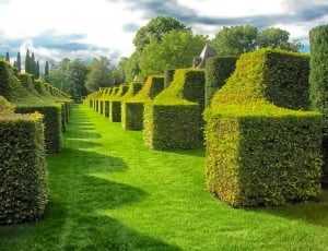 Eyrignac Manor Gardens, Dordogne, France, green color, topiary thumbnail