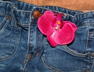 blue jeans and purple petal flower thumbnail