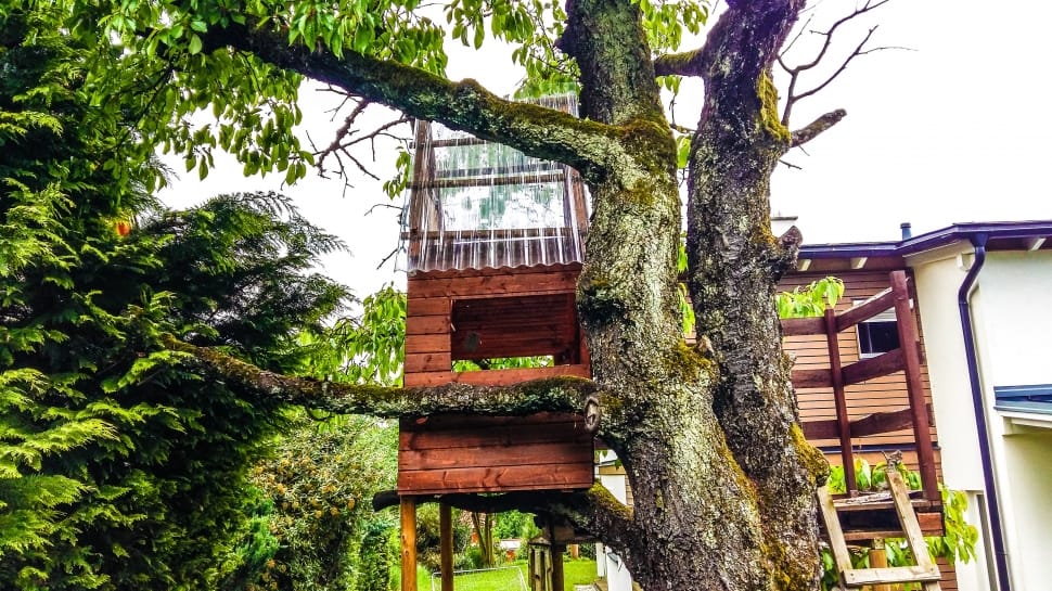 brown wooden tree house preview